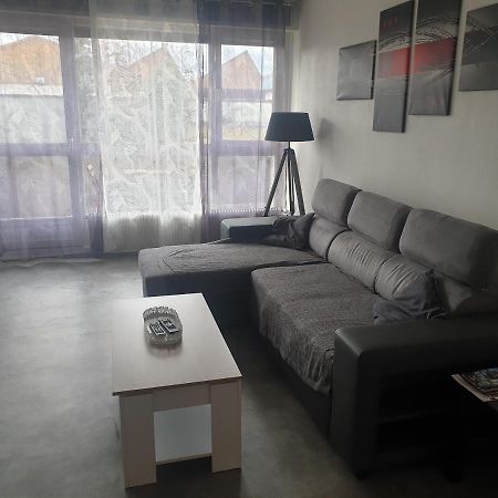 Mulhouse,Grand Appart Cosy&Lumineux, 78M2 , Pour 5 Personnes Екстериор снимка