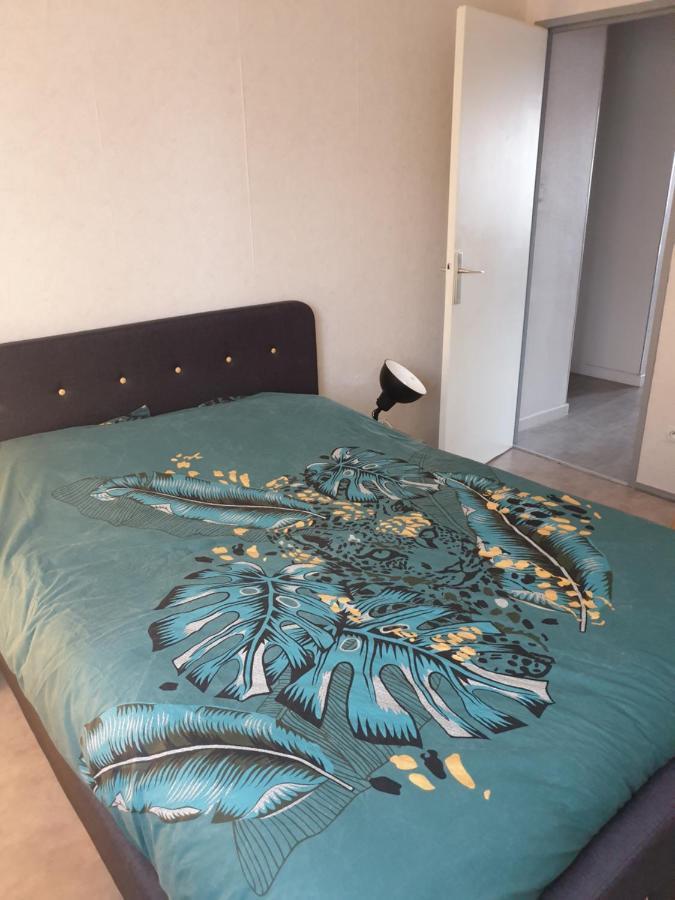 Mulhouse,Grand Appart Cosy&Lumineux, 78M2 , Pour 5 Personnes Екстериор снимка