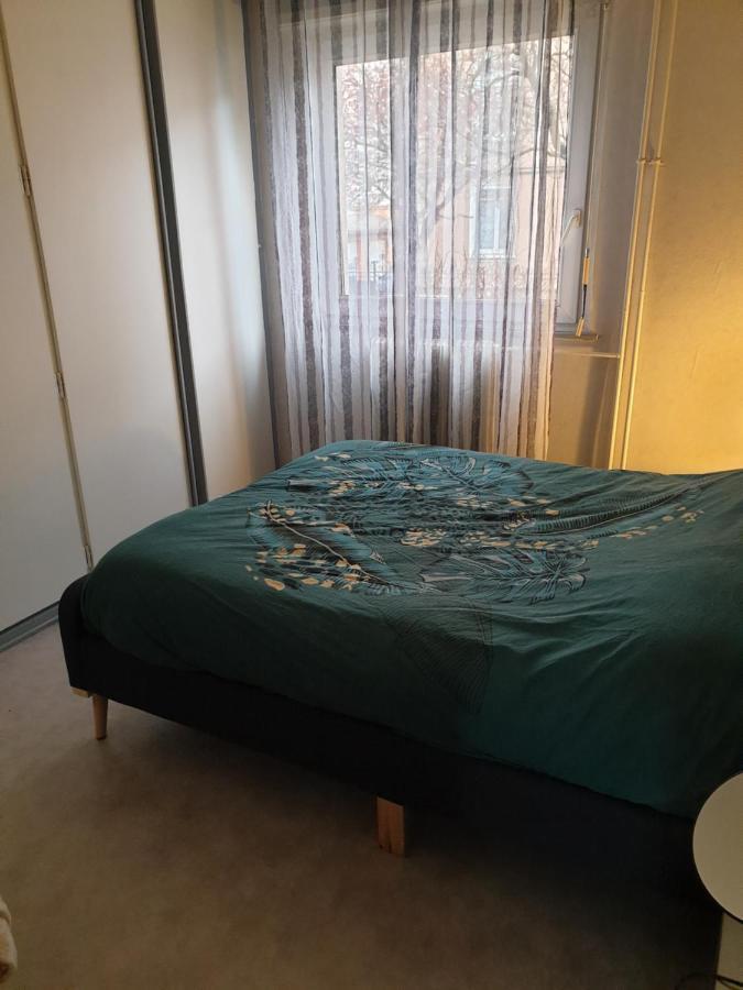 Mulhouse,Grand Appart Cosy&Lumineux, 78M2 , Pour 5 Personnes Екстериор снимка