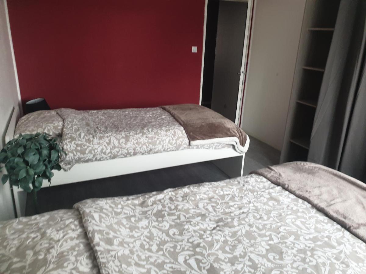 Mulhouse,Grand Appart Cosy&Lumineux, 78M2 , Pour 5 Personnes Екстериор снимка